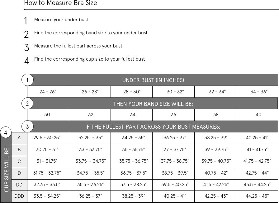 bra size chart